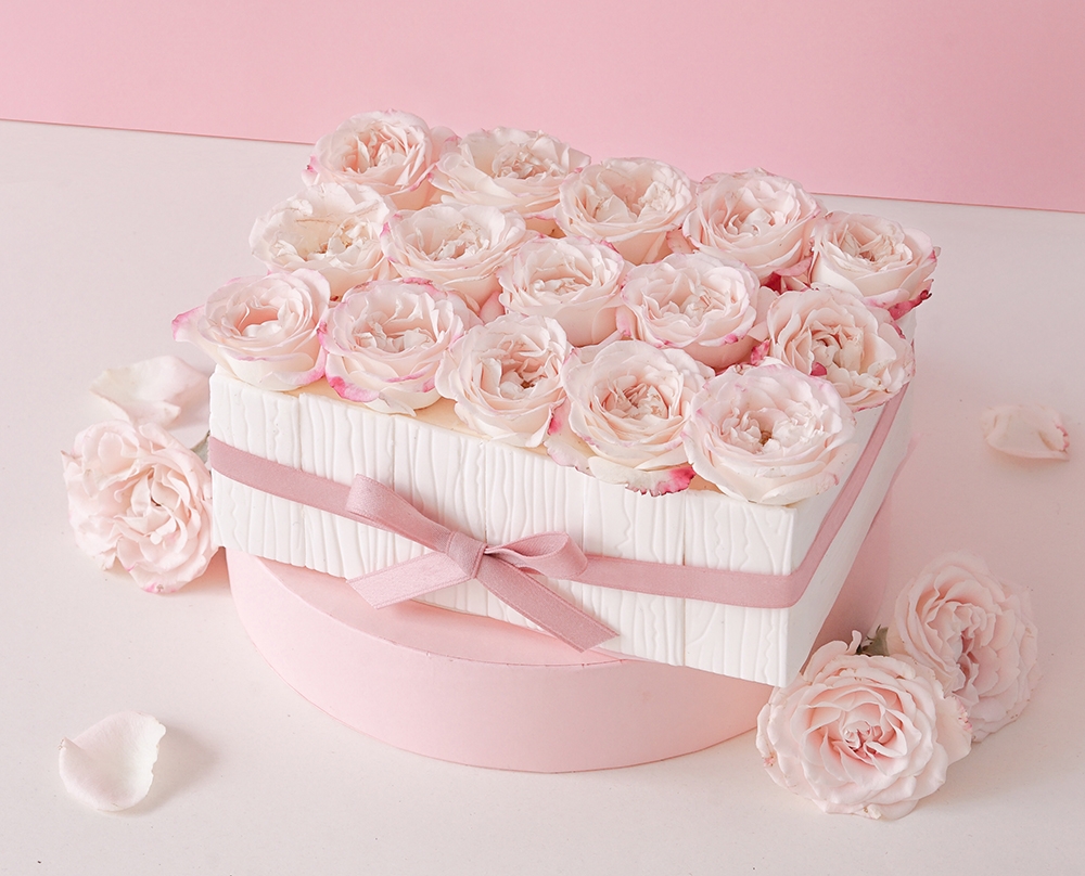 Vive Cake Boutique Queen’s Meadow