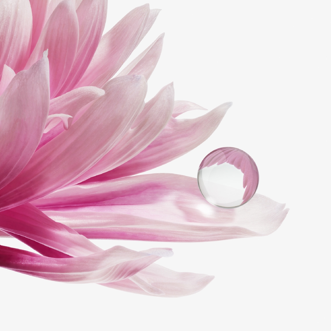 ISSEY MIYAKE Parfums