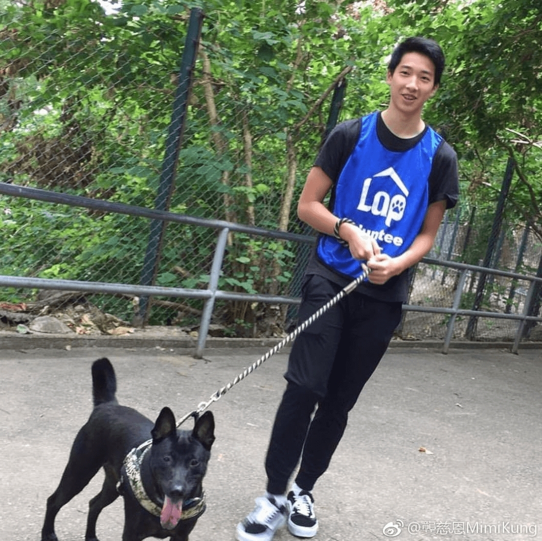 「翻版金秀賢」龔慈恩細仔林卓毅靚仔大隻,讀尖子學校,精通運動樂器,關心被遺棄動物