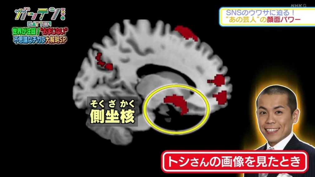 螢幕截圖 2021-06-23 下午6.34.23