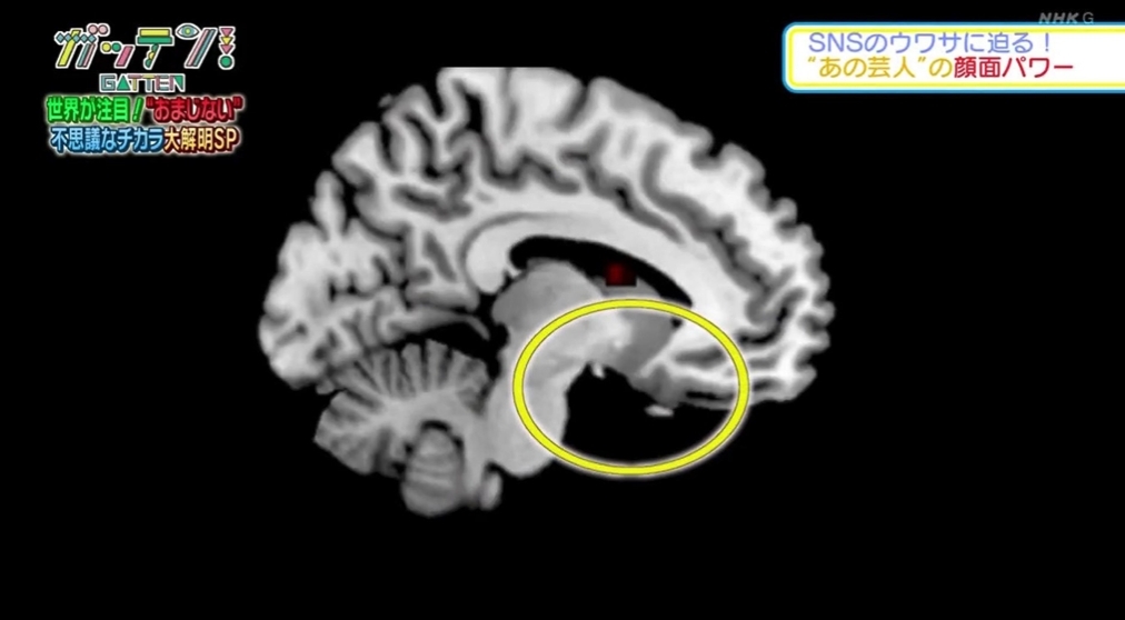 螢幕截圖 2021-06-23 下午6.35.30