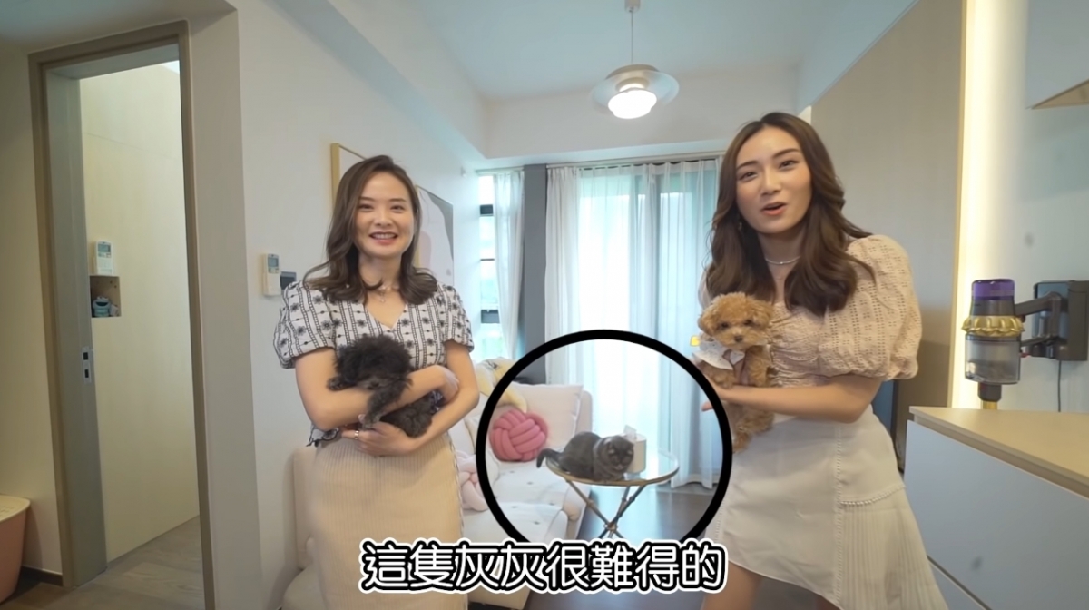 螢幕截圖 2021-06-02 上午10.40.40