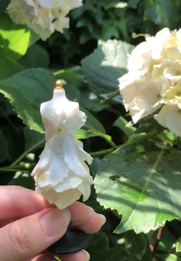 日本近日一位手工了得的達人,因自小就迷上了仙子的童話,所以就決定用花瓣來手製不同的迷你禮服裙子!