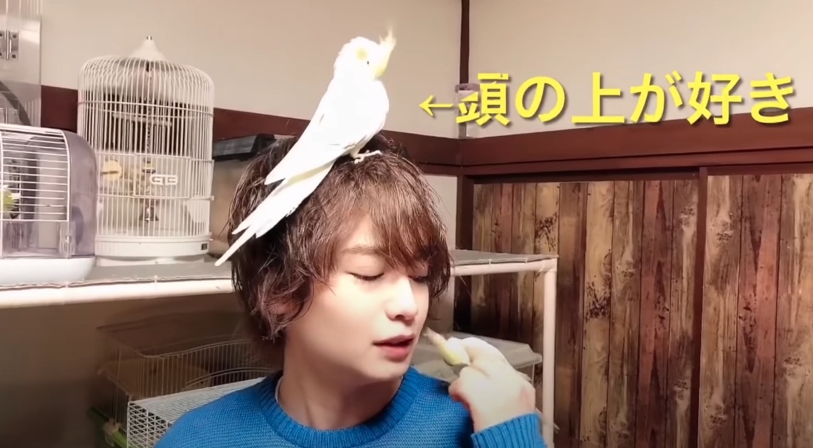 森田優基近日接受日本一個節目的訪問,他公開了他溫暖的家中,所藏著總共價值7000萬(約$400萬港幣)的160隻寵物