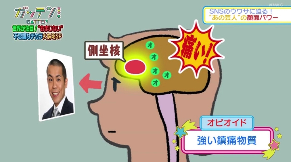 螢幕截圖 2021-06-23 下午6.34.58