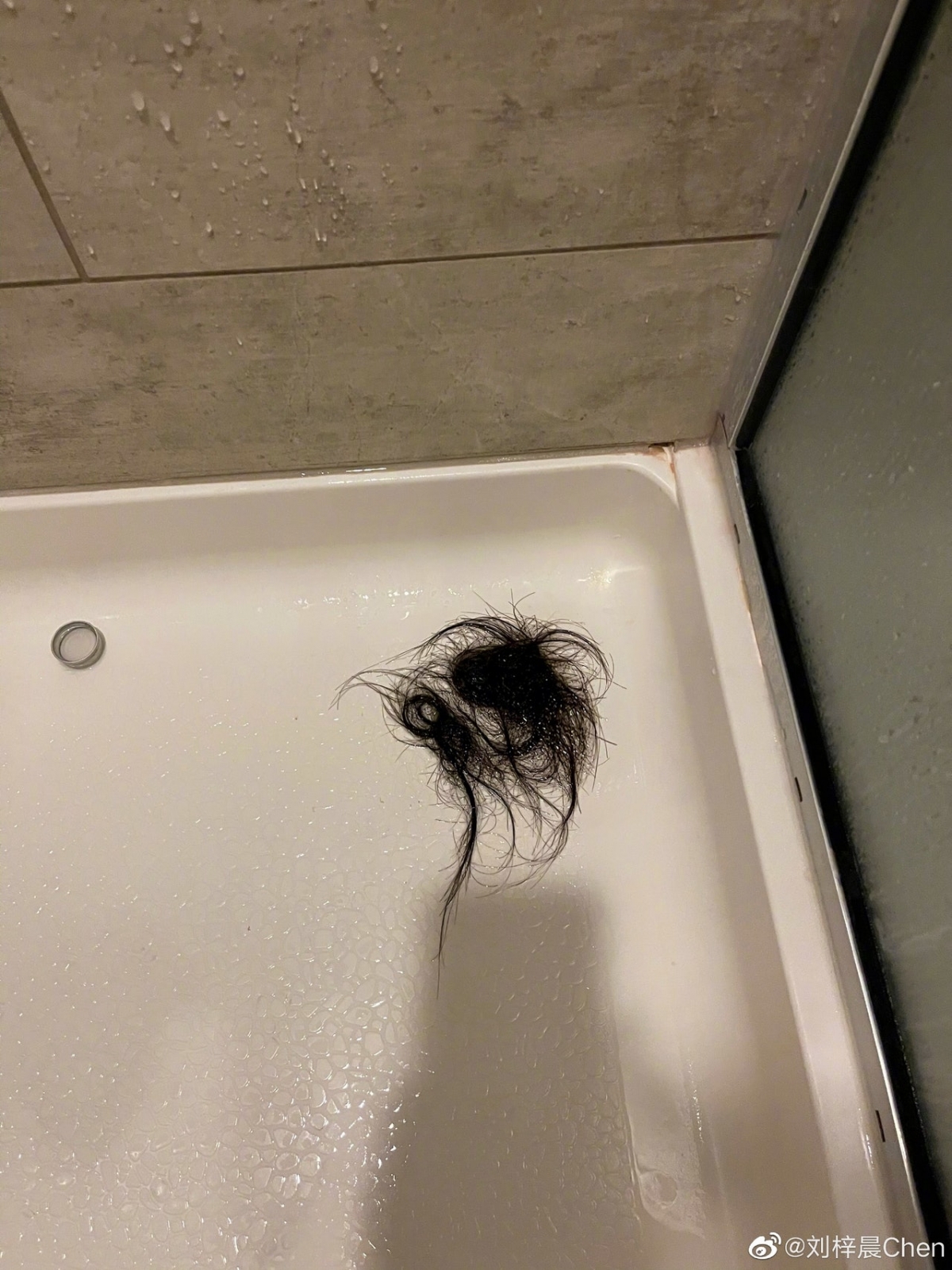 蛇精男劉梓晨終於罕有的在微博發文,相片中只顯示出他手持大量脫掉的頭髮