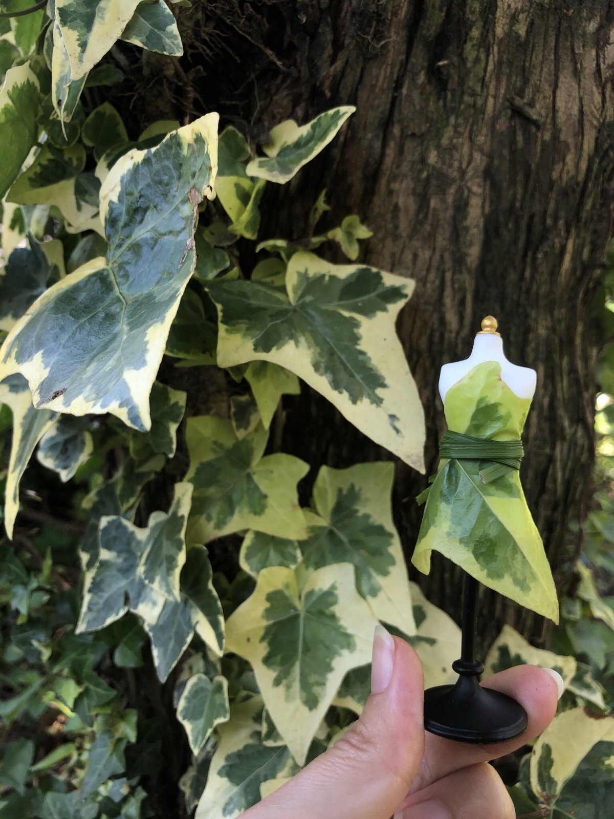 樹葉造成的禮服裙子,根本就是迪士尼《小飛俠》裏面的Tinker Bell身穿的那一條