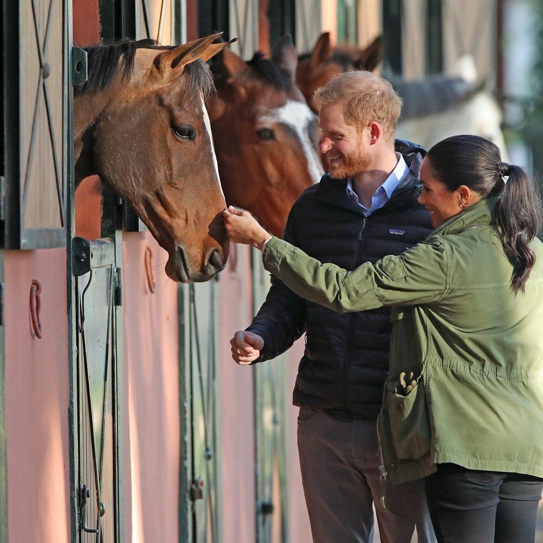 哈里王子脫髮, 威廉王子脫髮, 英國王室, 英國王室脫髮