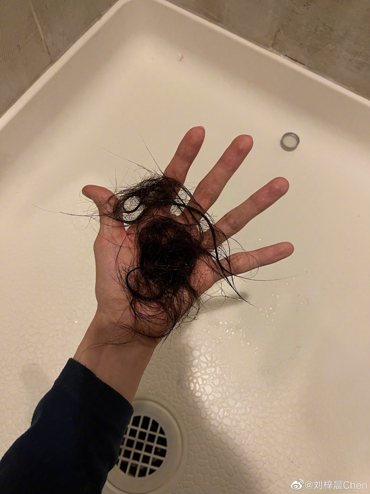 蛇精男劉梓晨終於罕有的在微博發文,相片中只顯示出他手持大量脫掉的頭髮