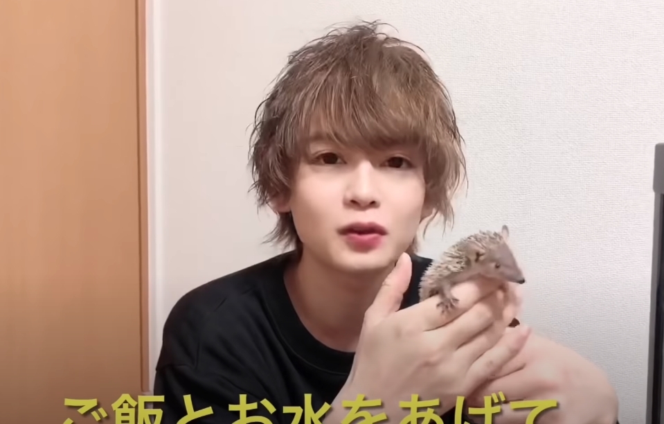 森田優基是一位網頁設計師,不過其實他也是一位YouTuber,在網上拍攝了不同的有趣動物相關影片,