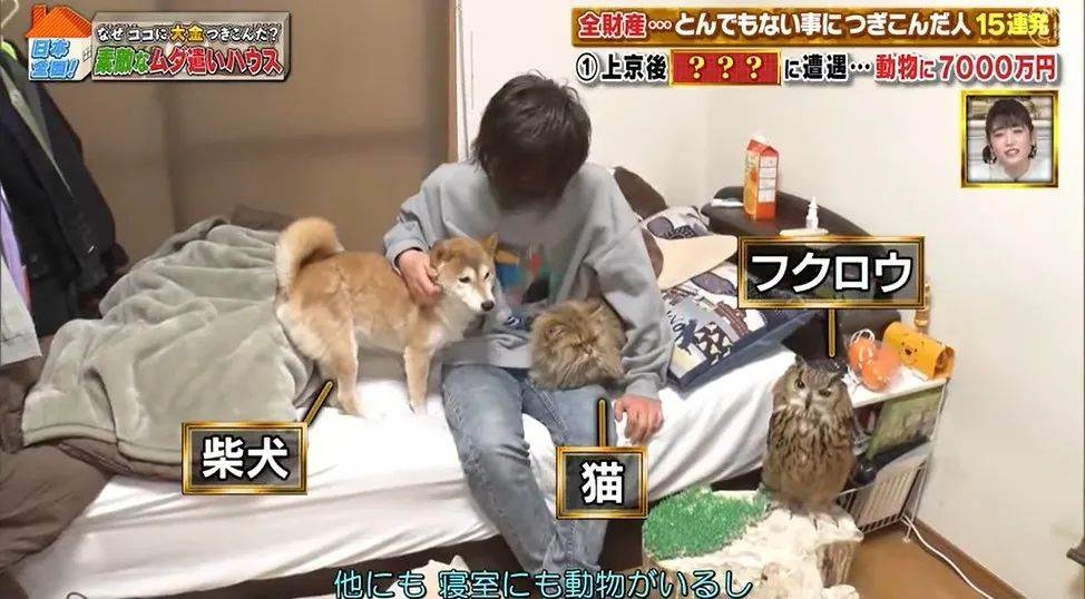 森田優基近日接受日本一個節目的訪問,他公開了他溫暖的家中,所藏著總共價值7000萬(約$400萬港幣)的160隻寵物