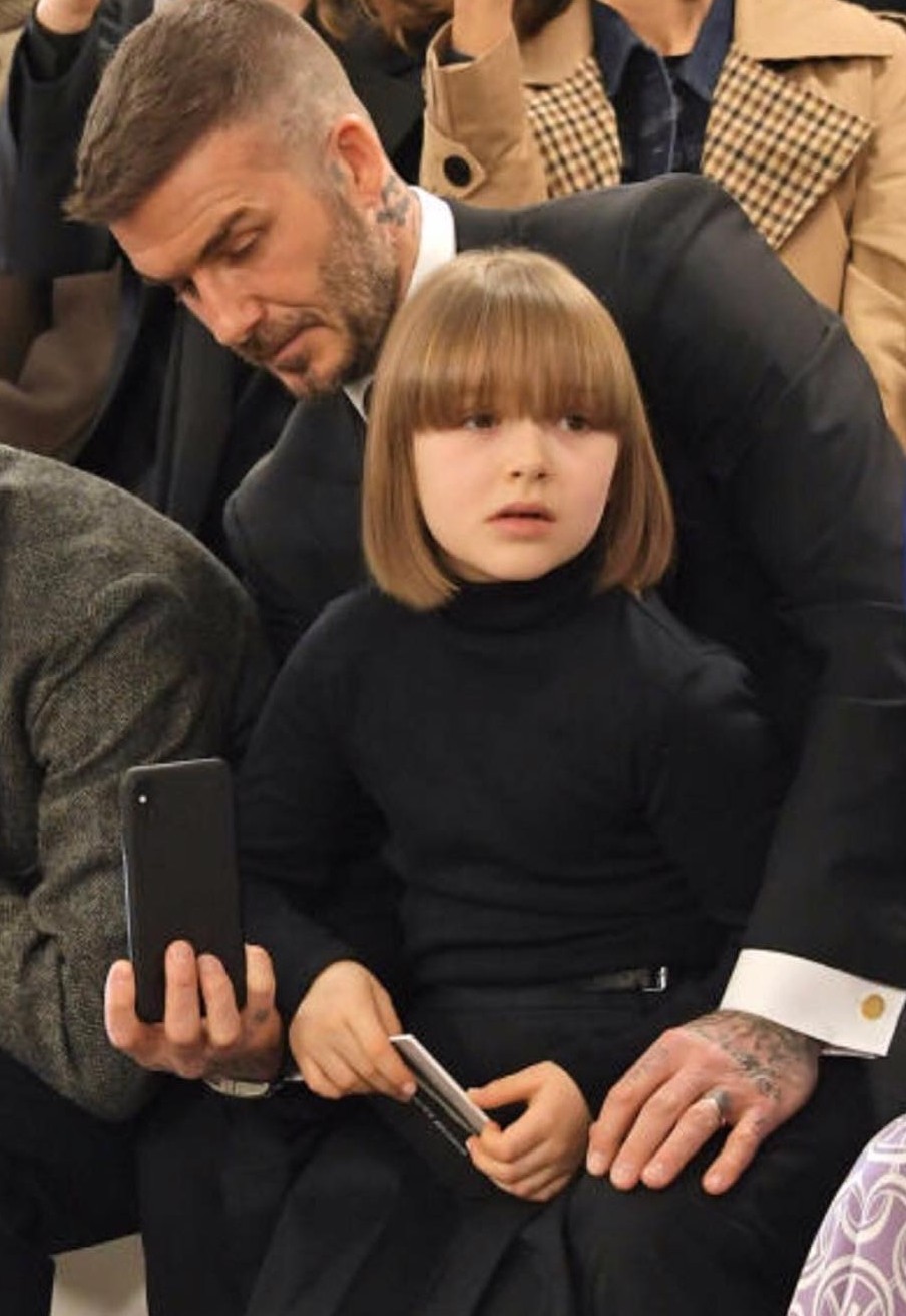 哈七碧咸, 碧咸哈七, Harper Seven, David Beckham, 哈七長大