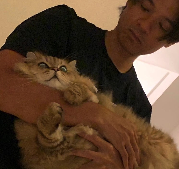 性格生活隨性的二人,戀愛模式就如朋友一樣,唯一不同的就是他們會隨時陪著對方。當時熱戀中的她們因為聚少離多,馮德倫也曾經甜蜜的送上舒淇喜歡的小貓