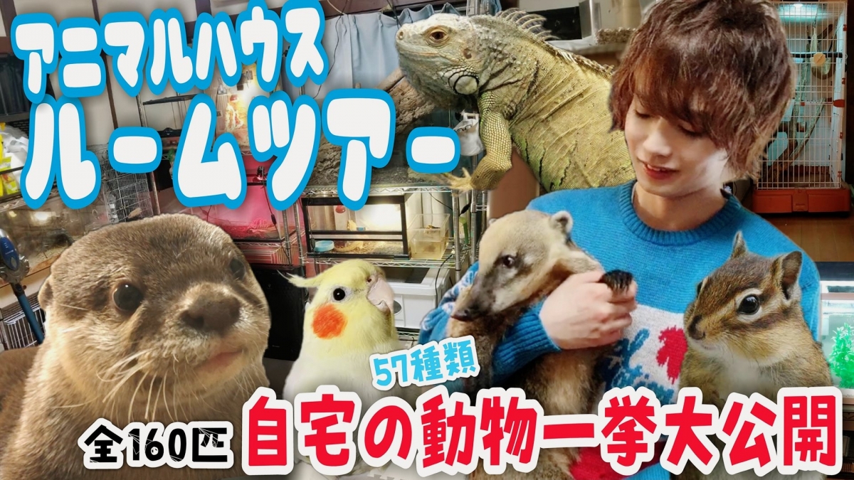 森田優基有著讓人意想不到的興趣喜好,外貌年輕打扮入流的他居然迷上飼養寵物,在他小小的家中竟然藏了160隻奇珍異獸