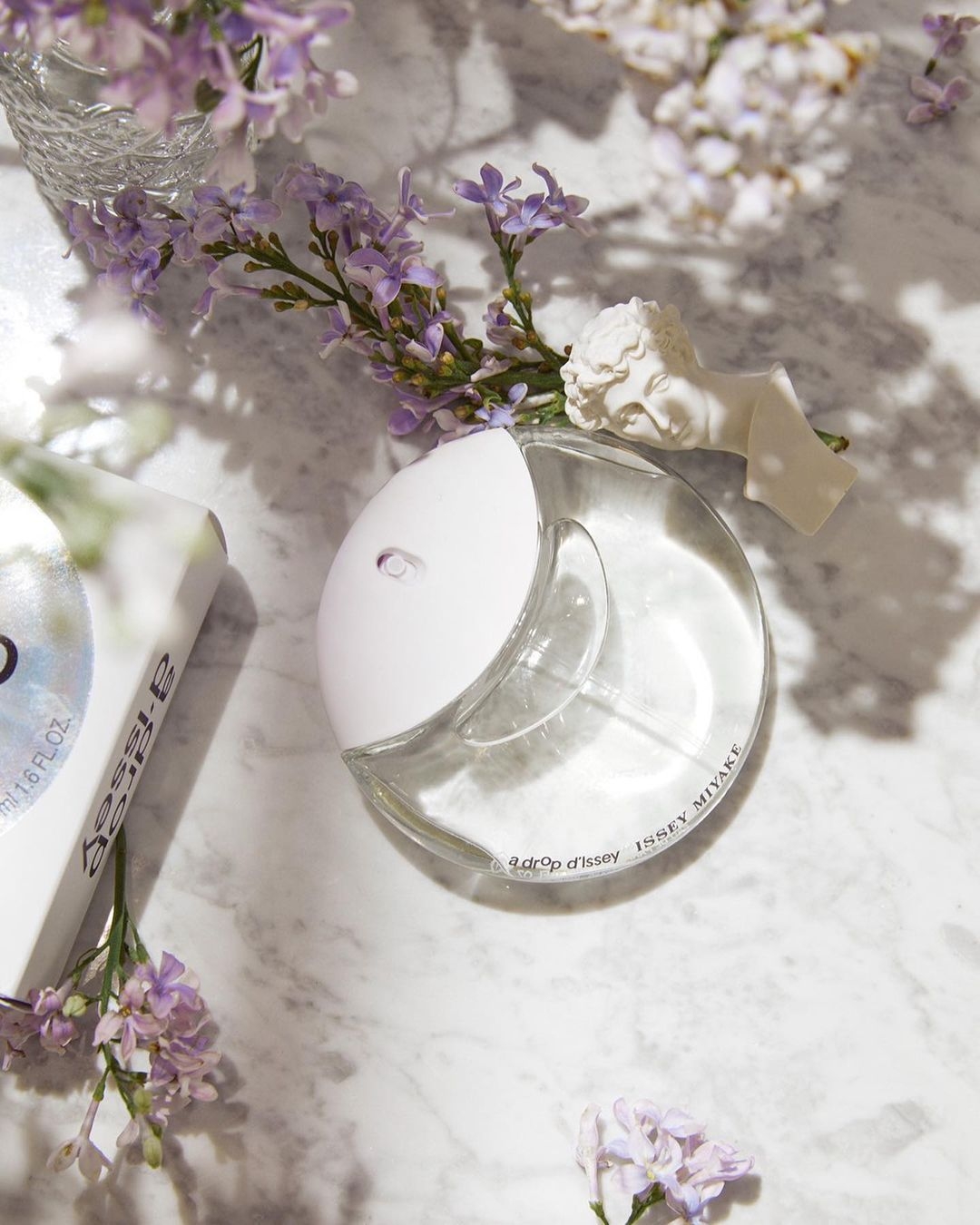 182484570_295579608824599_4427468091959442117_n