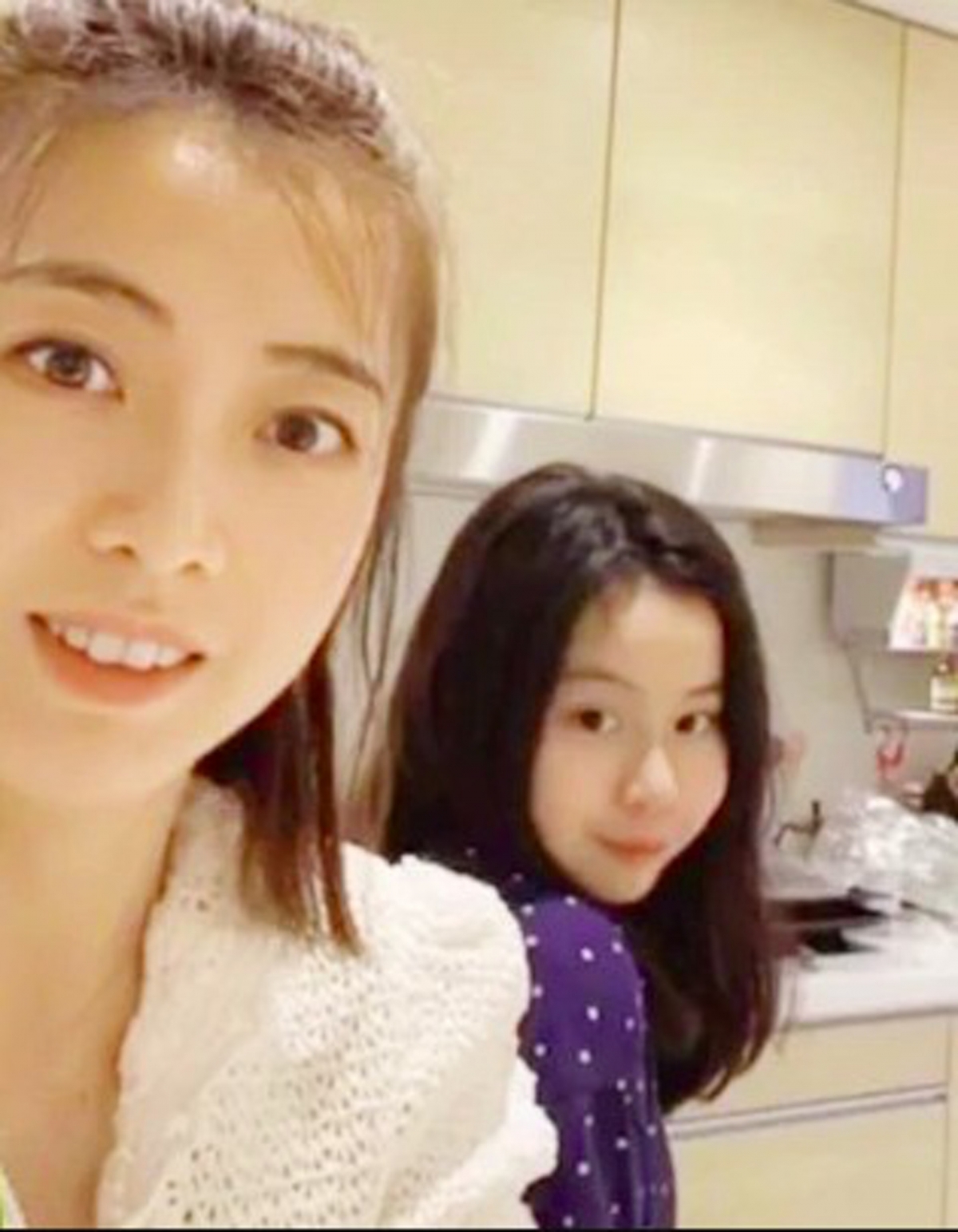 劉鑾雄在2015年亦送贈位於渣甸山高士美道5號的豪宅（價值約4.6億港元）給女兒劉秀樺