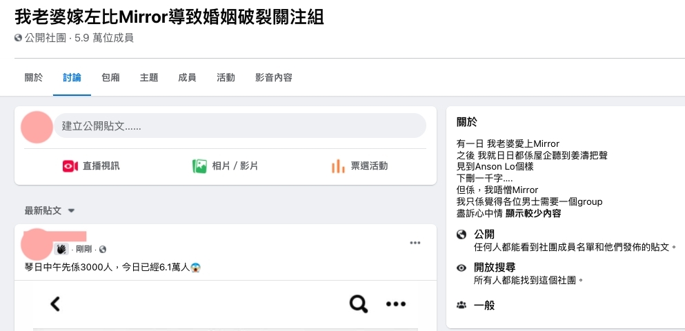 開設群組的版主自介紹:「有一日我老婆愛上Mirror,之後我就日日都係屋企聽到姜濤把聲,見到Anson Lo個樣下,刪一千字….」