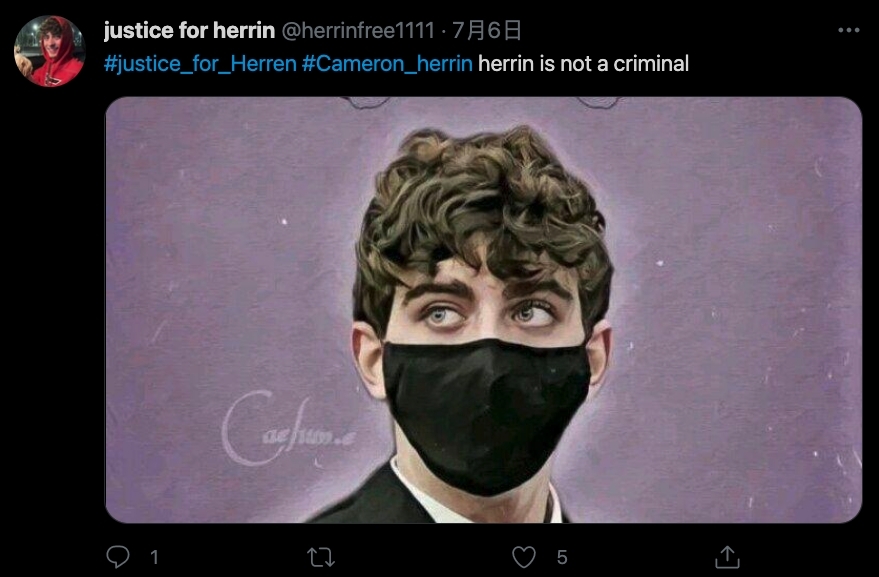 不過，Cameron Herrin 與以往其他罪犯不一樣。他不但沒有被人唾棄，甚至更有一大堆「粉絲」走出來為他求情減刑，為他設立後援粉絲會，原因竟然只是因為他長得太靚仔？