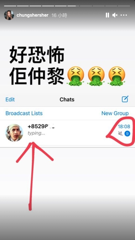 鍾舒漫在 IG Story 甫出多張圖,指出被陳潔玲「C丁蟹」訊息轟炸!