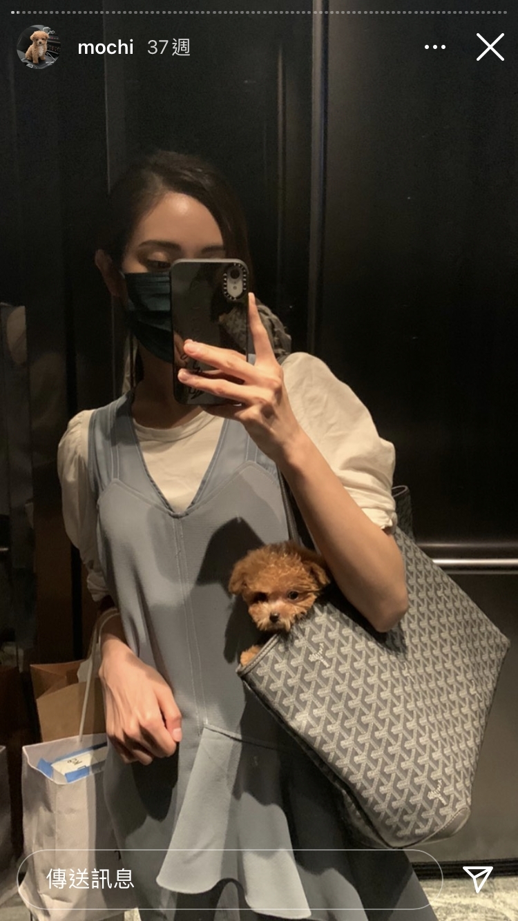 這片段卻引來網民怒斥,指責蔡嘉欣沒有用狗繩好易出事