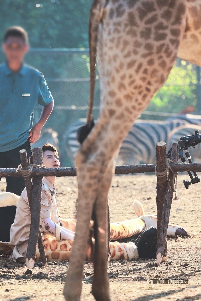 王嘉爾讓網民同情他在幕前綜藝賺錢果真不容易!