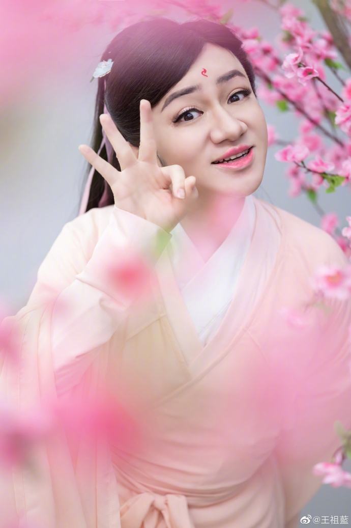 王祖藍自從主力管理工作後，都沒有再拍任何作品