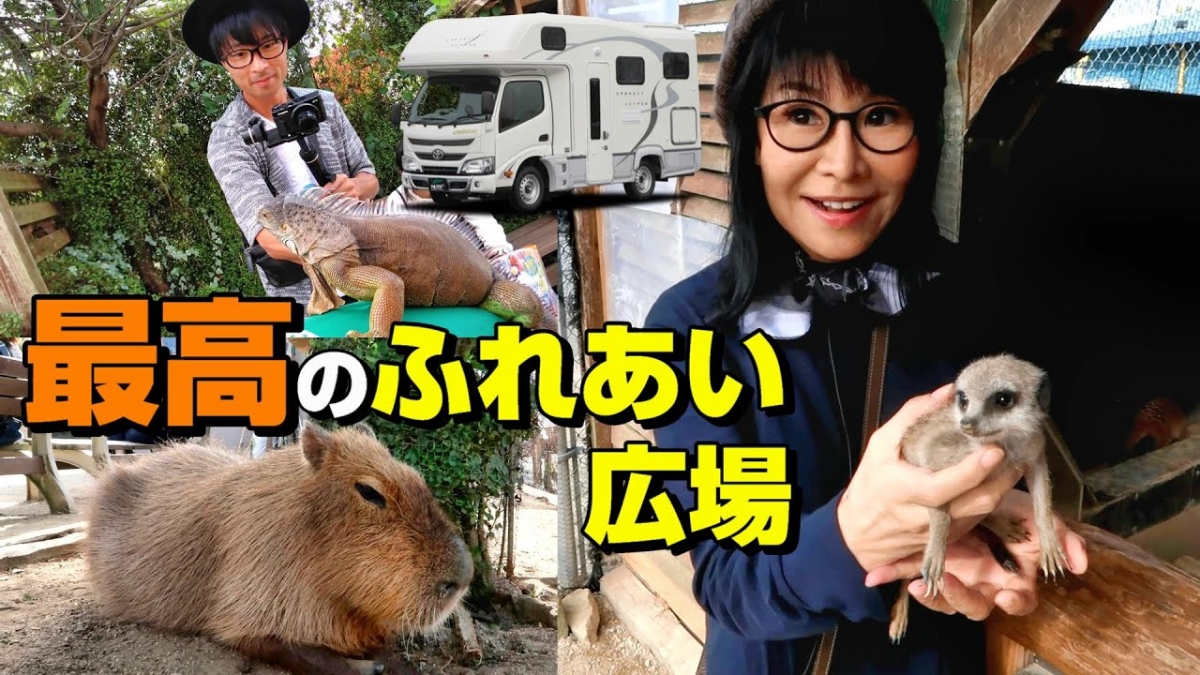 甜蜜的兩人更以新婚旅行之名,隨意地駕著一輛露營車環遊日本,活像剛熱戀的男女朋友一樣,sweet到爆!