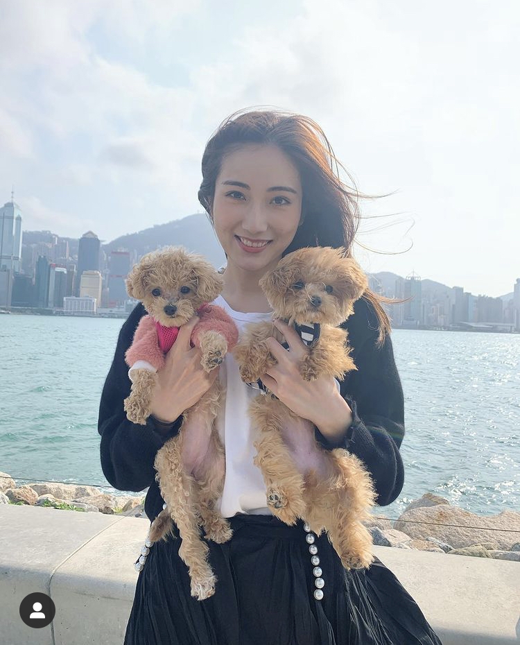 蔡嘉欣又分享了與愛犬散步的日常影片,再次引起網民不滿!