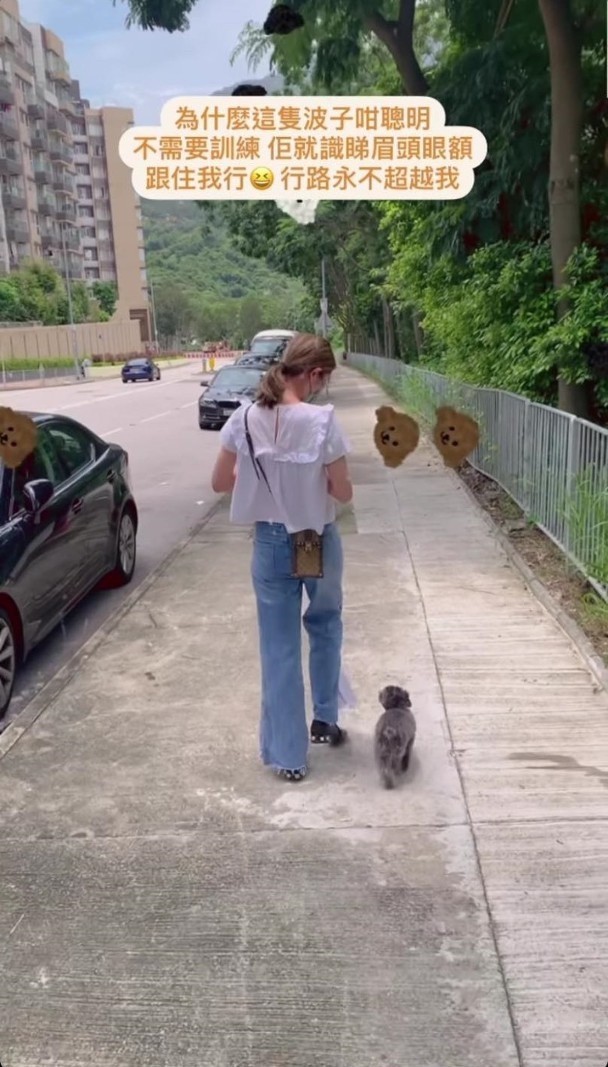 蔡嘉欣跟「波子」在馬路旁散步