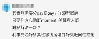 有網民認為其實無需要分別是同性戀還是異性戀