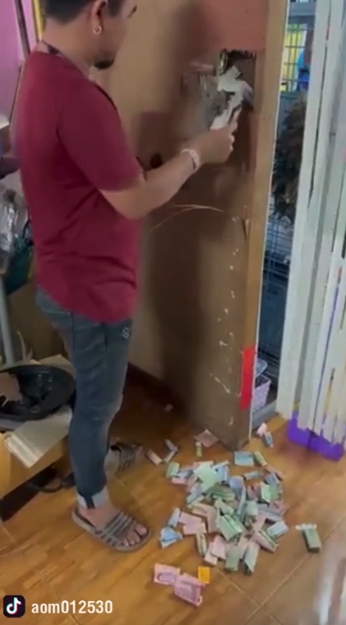 當他以為藏在木牆內必定萬無一失時,卻依然逃不過女人的法眼與可怕的直覺