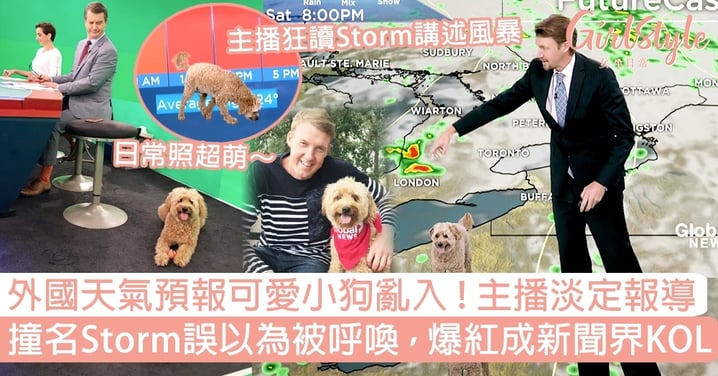 外國天氣預報小狗亂入，主播專業淡定報導！撞名Storm誤以為被呼喚，爆紅成新聞界KOL～