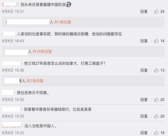 同時亦有較中肯的網民表示:「1994年的時候。中國發展確實還沒有很好」