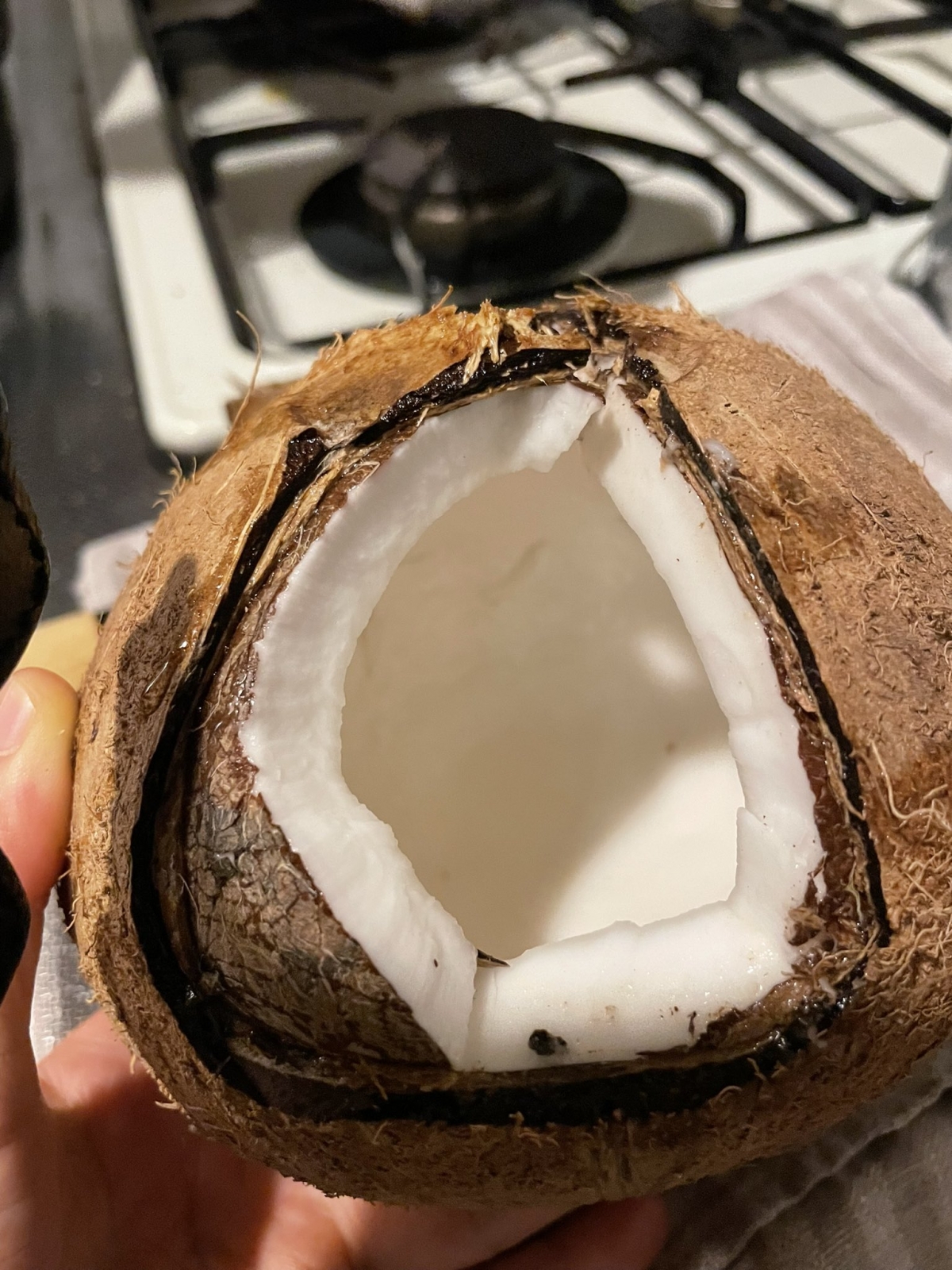 椰子滑溜的口感似乎和「煙韌」的魷魚會有出入?來個味蕾大挑戰吧!