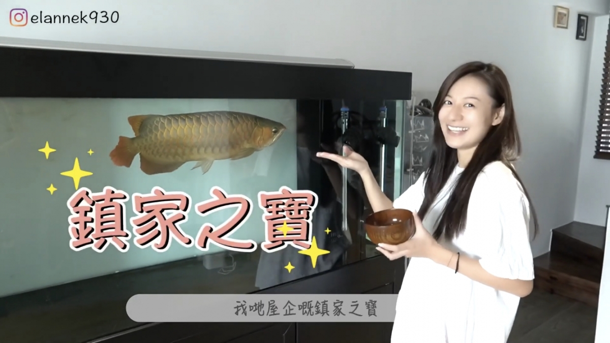 江若琳又在影片中介紹老公蕭唯展(Oscar)養的超大條錦鯉紅龍,稱牠為鎮家之寶!