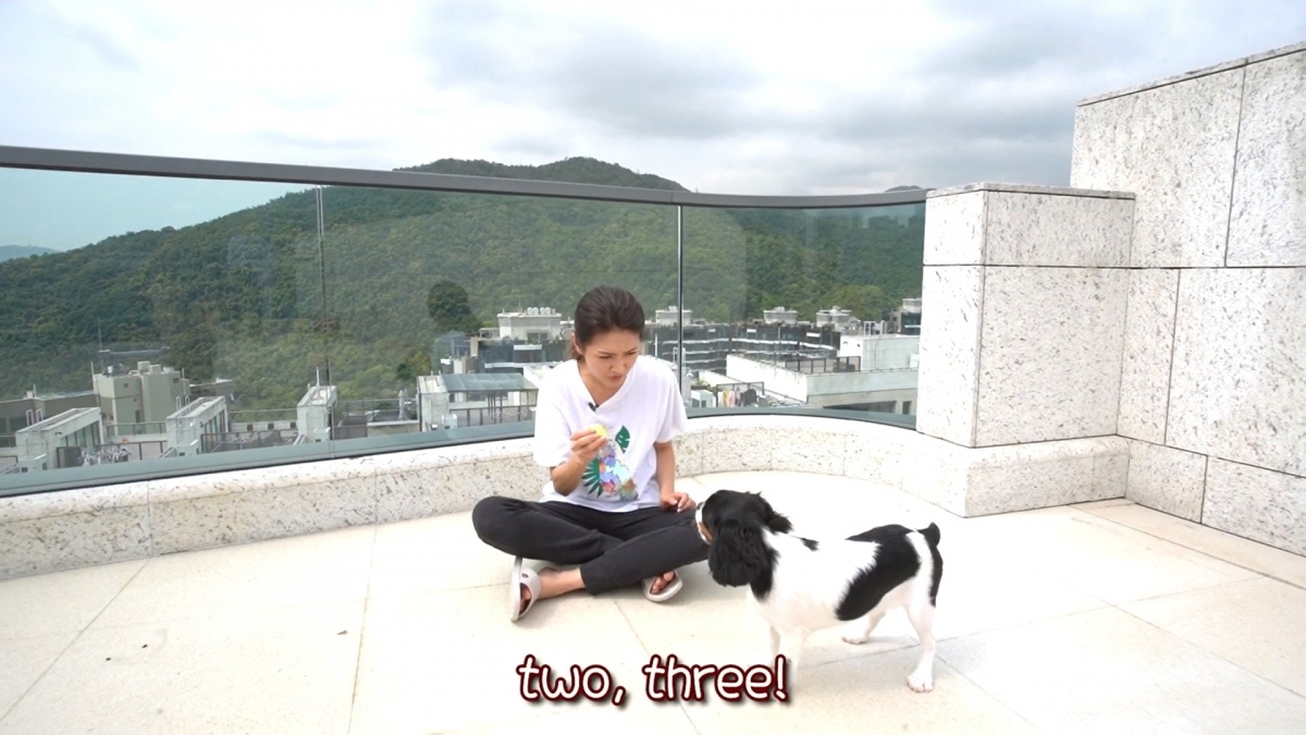 陳庭欣的豪宅不但樓底超高,而且更有一條長樓梯通往上層!