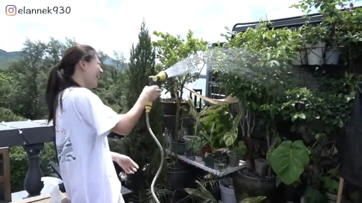 最後,江若琳就上到豪宅的天台為老公打理植物