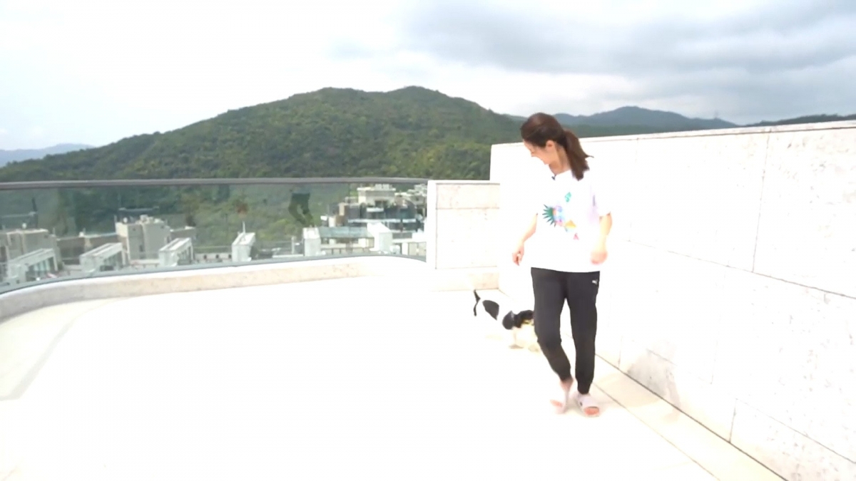 天台景觀不但十分開揚,坐擁一望無際的遼闊靚景;就算與愛犬 Winter 跑步追逐也沒有問題!