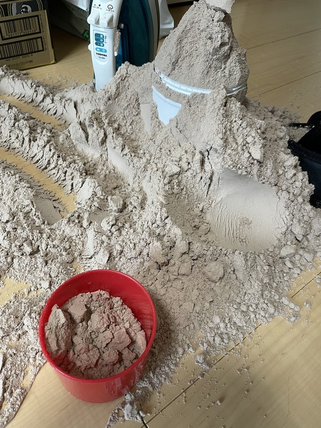 從樓主分享的相片可見,倒滿一地的蛋白粉跟沙子的確很相似