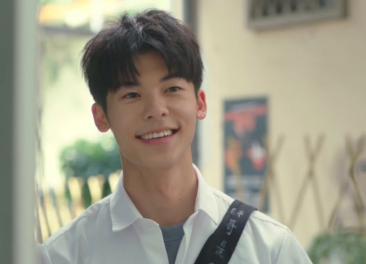 網民表示魏河俊的外貌與台劇《想見你》的男主角許光漢有幾分相似,封他為「韓版許光漢」