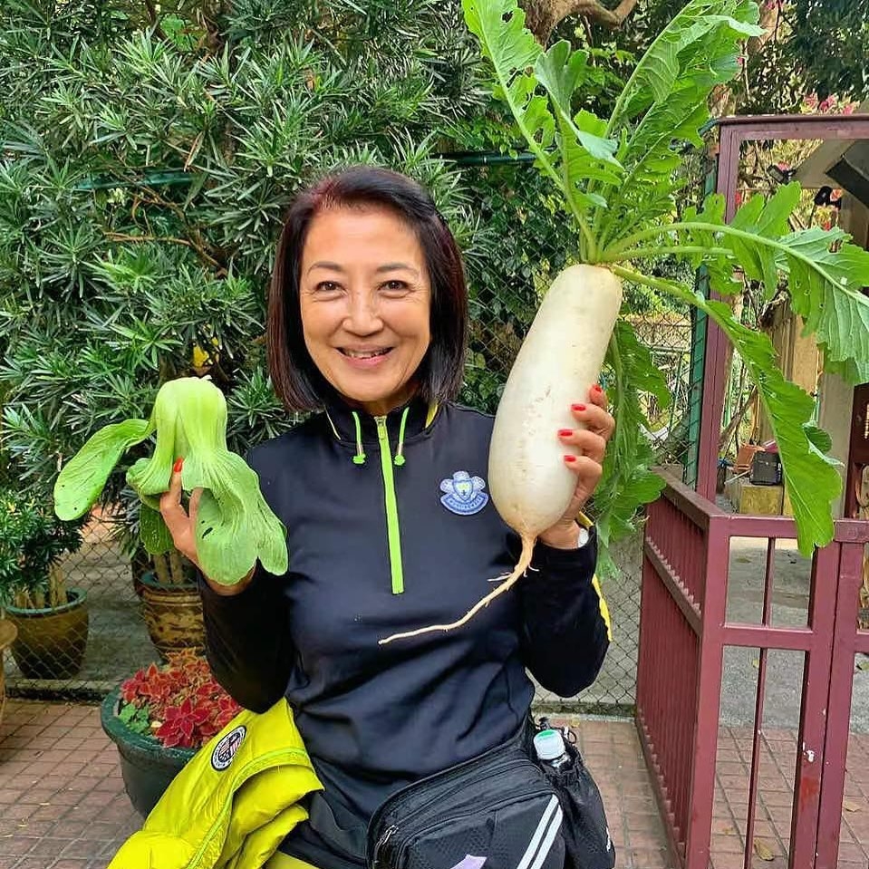 只有中五學歷的 Helen 姐,從場記演到傑出演員,不少人也認可她的在電視圈的貢獻,不過原來馬海倫私底下卻是位生活無憂的隱形富婆?