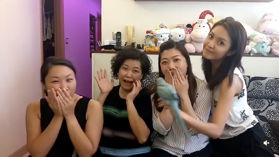 對比起以往的公屋舊居,就連愛雀們的「家」亦有大大升級!