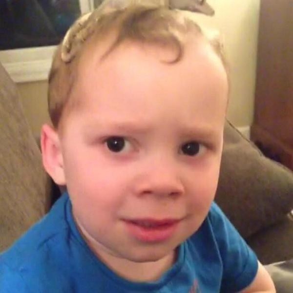 2013 年的夏天,當時年僅 2 歲的 Gavin 因為一則被寵物蜥蜴爬到頭上的影片,不但在一夜間成為全球網民瘋狂轉發的對象,