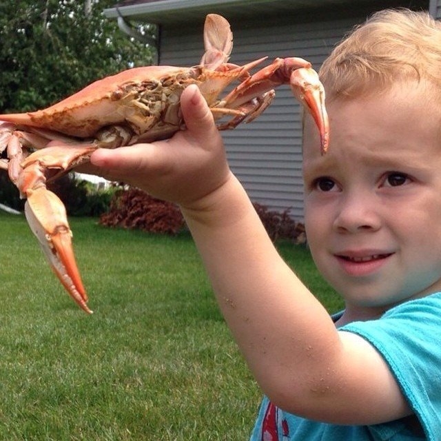 相當惹笑的「專業假笑」表情更被網民擷圖弄成迷因(meme),至今 Gavin 的影片已在全球被累積分享超過 10 億次,流量甚至比不少一線國際巨星更強勁!