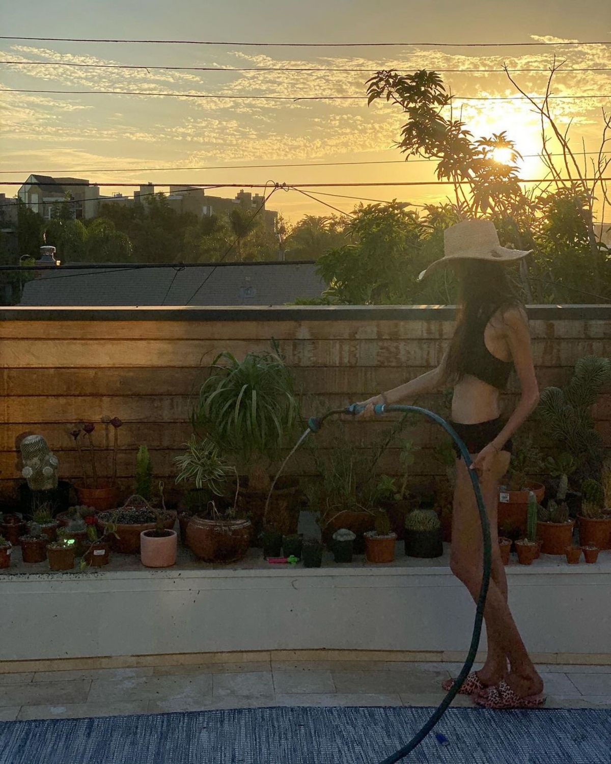 在泳池旁邊還有一個庭院，種著不同的花朵。秦舒培閒時也有興致打理花園淋水