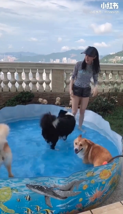 螢幕截圖 2021-10-04 上午10.56.51