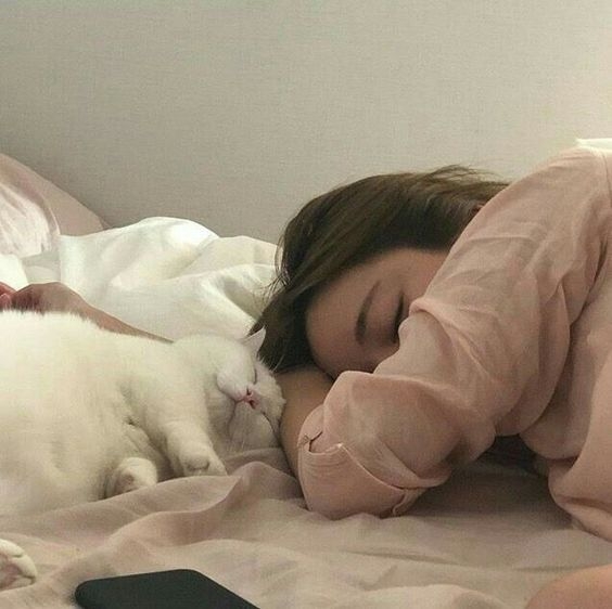 【晚睡女生】夜鬼必讀!早上按摩10分鐘急救臉色、膚質、水腫臉上妝超見效~