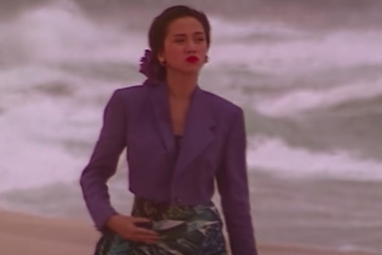 梅艷芳在生前曾大讚林國斌是個好男人