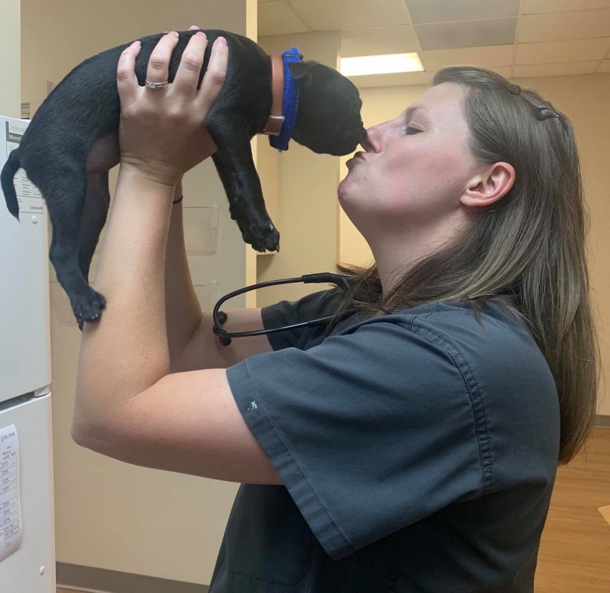 她透露這是預備給因各種原因而需要以藥物結束生命的小狗