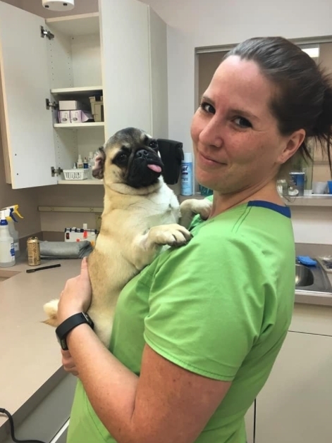 Nicole 表示其實很多時在狗狗離開前，他們都會破例提供一些平常不能餵食，例如如朱古力、雪糕等零食給狗狗